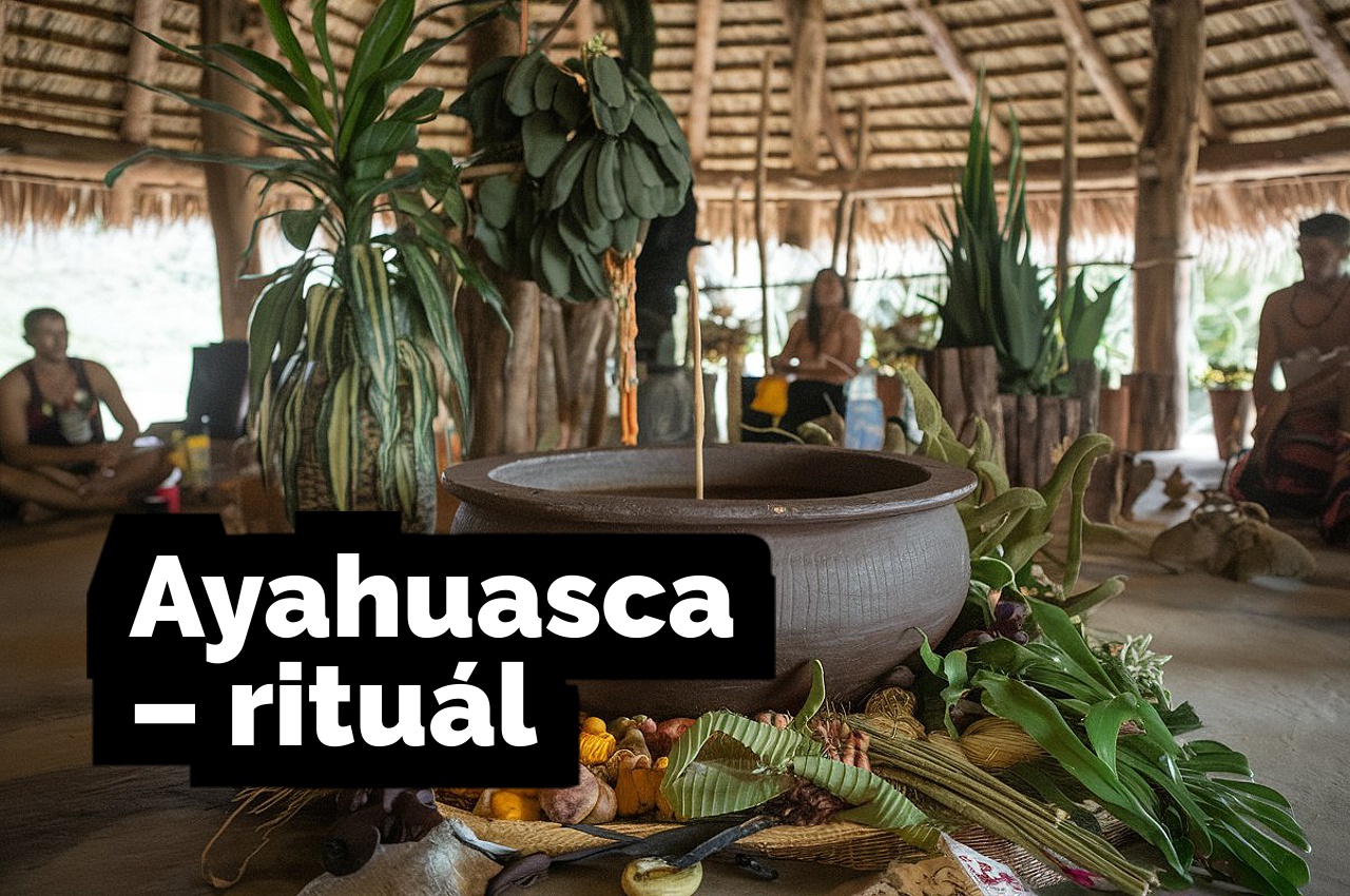 Ayahuasca: Mozek pod vlivem ayahuascy. Co se děje během rituálu?